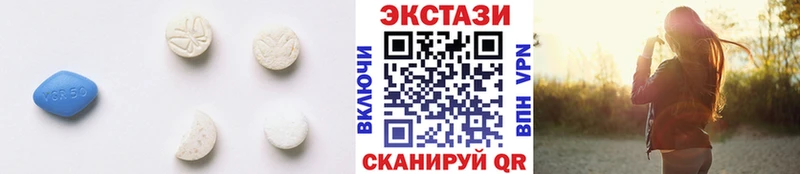 Купить закладки  Азнакаево  Ecstasy круглые 