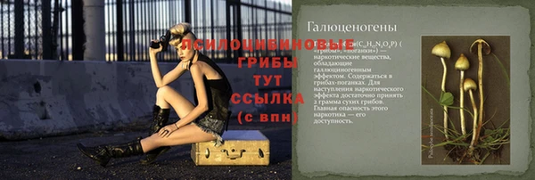 спиды Покров