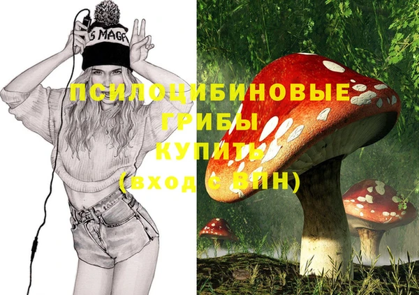 спиды Покров