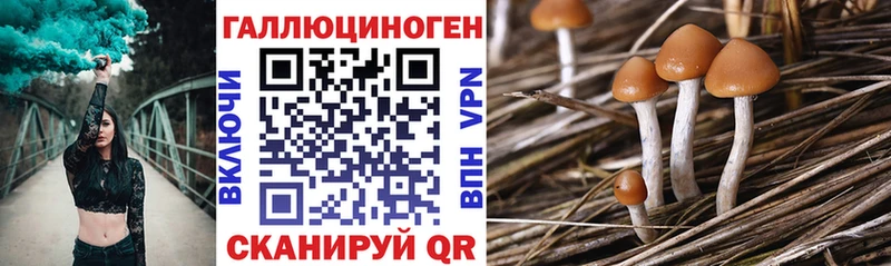 Псилоцибиновые грибы прущие грибы  Купить где  Азнакаево